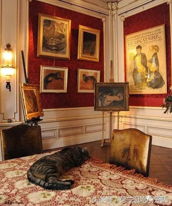 同样是撸猫，看看荷兰人和我们有什么不一样！