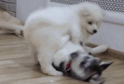 下雨天搞笑动作,下雨天搞笑操作