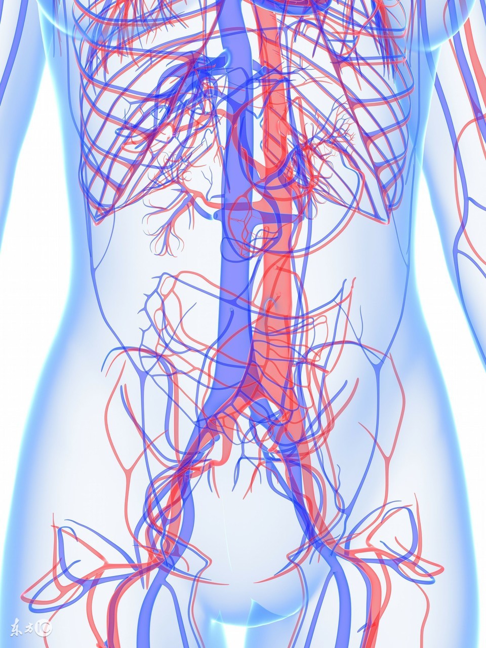 肾内科造瘘器械,肾内科颈内静脉球囊扩张术