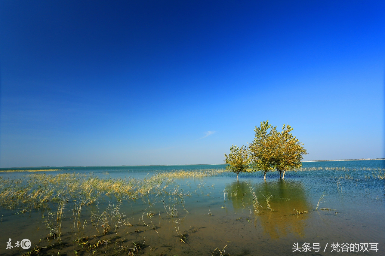 励志语录风雨无阻,励志责任的名言警句