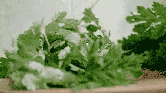 这些字99%的人都会读错,这些字90%的人都会读错你中招了吗