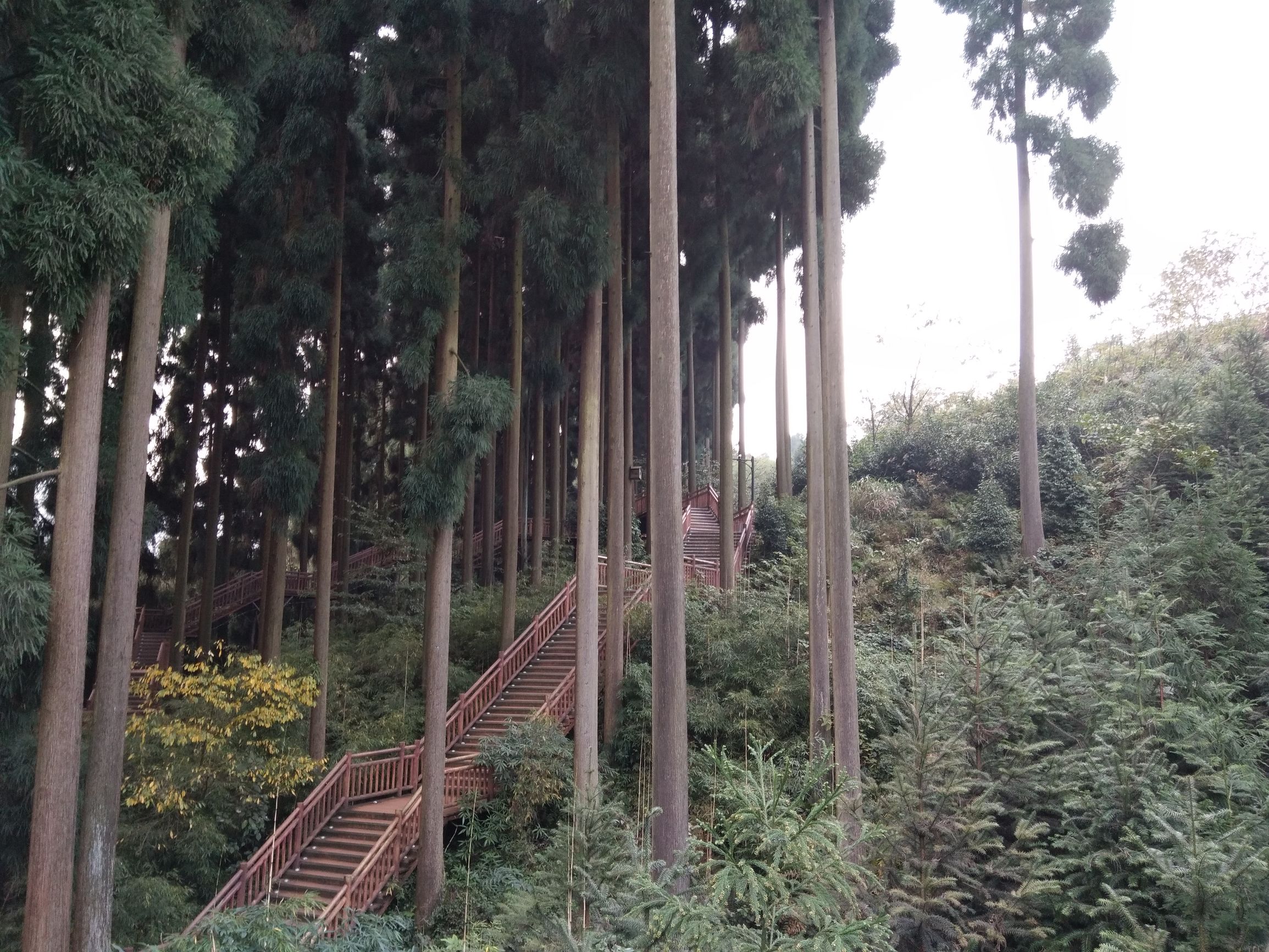 峨眉半山七里坪吃什么,峨眉半山七里坪怎样