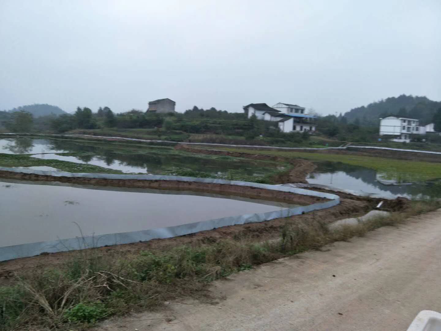 鱼塘改成虾塘要怎么处理,龙虾塘怎么改鱼塘