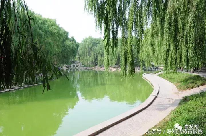 大家好这是我的家英文,大家好这是我的家图片卡通