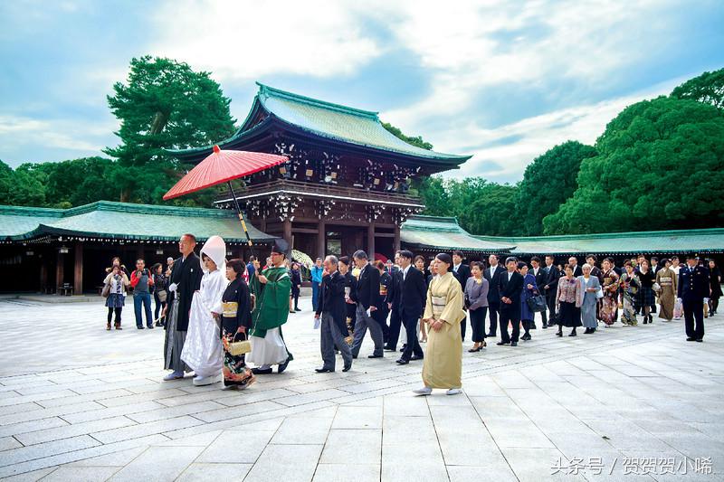 游轮旅行日本攻略,坐游轮去日本大概需要多少钱