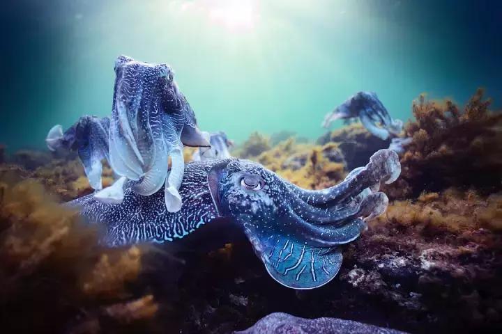 哈利·波特新片又双叒叕全裸，可惜还是没成演技派