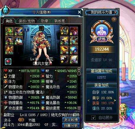 dnf强度高的固伤职业,dnf各个职业的解析