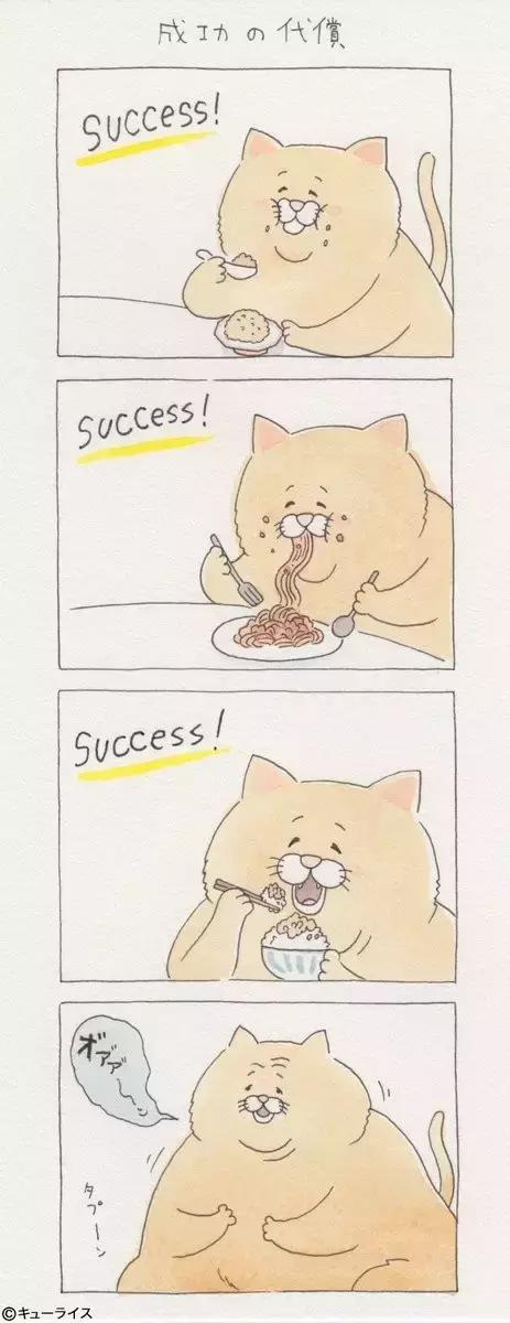 一只普通橘猫的成长史,橘猫的真实成长