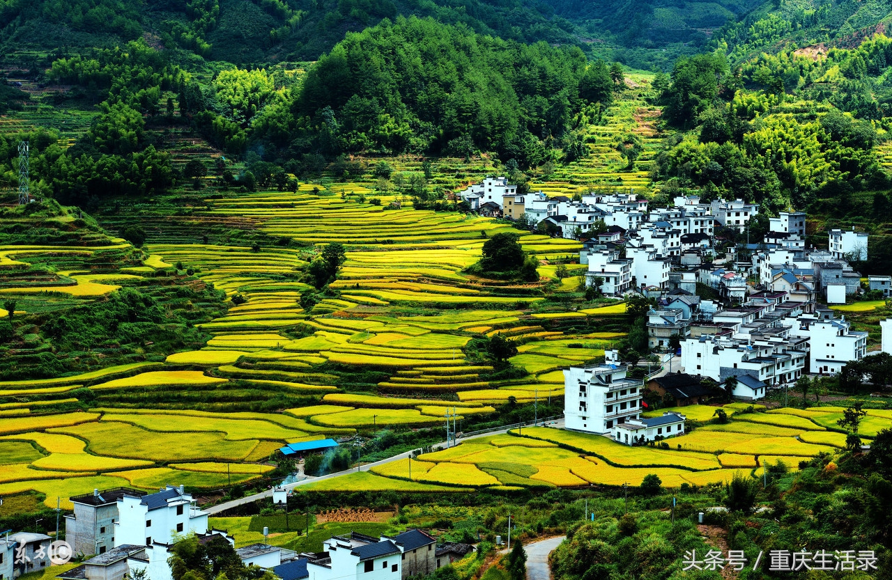重庆地区生产总值,重庆2018生产总值