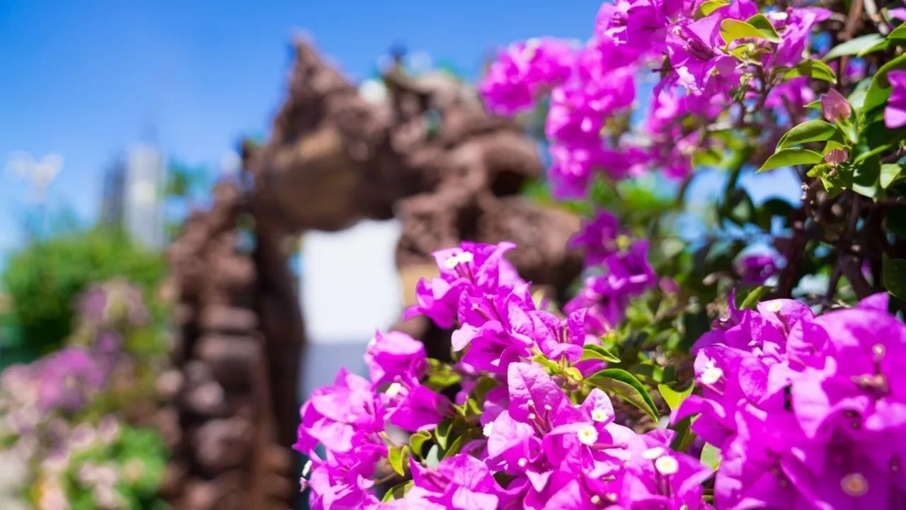 泰国芭提雅美食自由行,泰国旅游曼谷清迈芭提雅