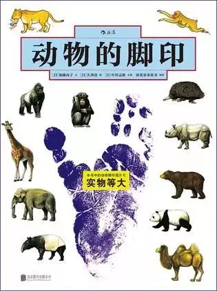 豆瓣9分经典书籍,豆瓣9分以上图书