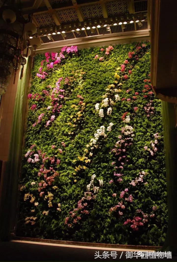 他曾说过：每一面植物墙都是一个花园……