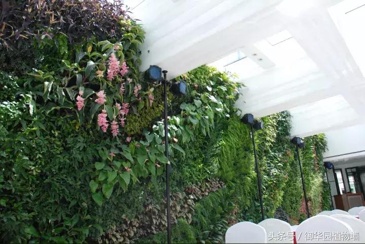 他曾说过：每一面植物墙都是一个花园……