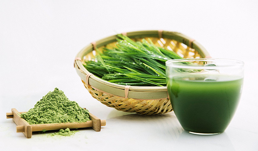 青汁怎么选择,青汁通常买哪一款