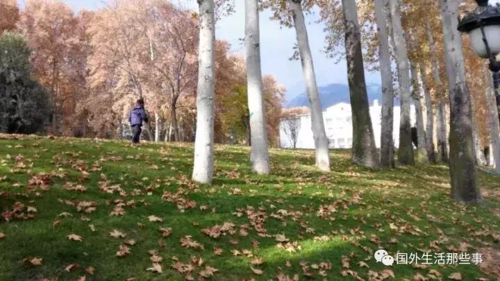 感受古埃及文明,感受盛唐文化