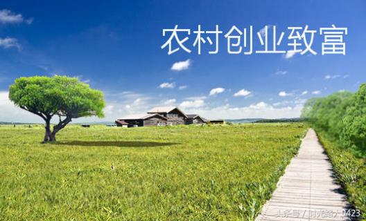 离开城市回到农村创业,离开老家去创业做什么