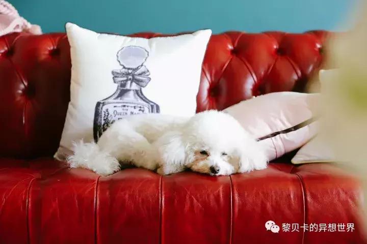 甯﹁。甯介棿鍜屾荡缂哥殑鎴垮瓙,琛ｅ附闂村洓鑴氭荡缂告晥鏋滃浘