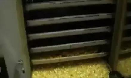 藏区老蜜蜡极品鸡油黄,鸡油老蜜蜡用紫光灯打是什么颜色