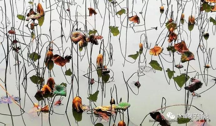 巽寮湾最美的海景,巽寮湾美丽的大海