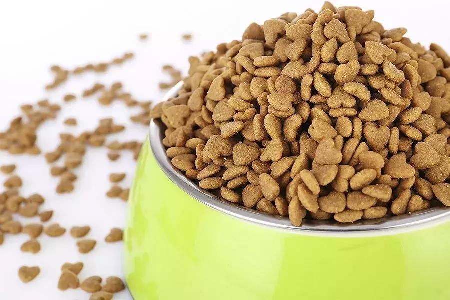 你是如何对待狗的,如果你打你家自己的狗会怎么样