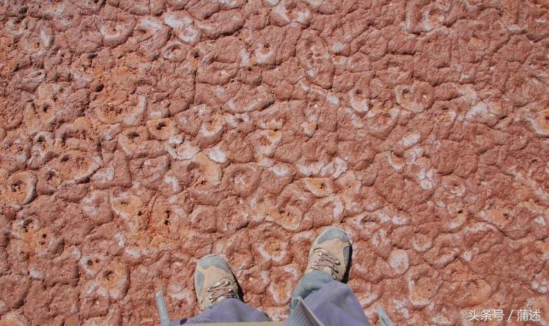 一个人的羌塘,一个人的羌塘无人区