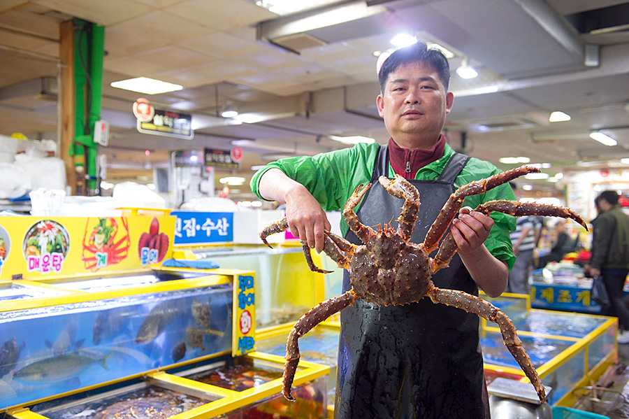 韩国女生街头小吃摆摊,广州韩国炸鸡摆地摊