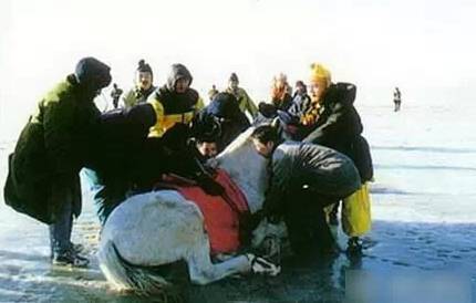 那些听着很好笑实际很悲伤的故事,愚人节的玩笑也可以是真的