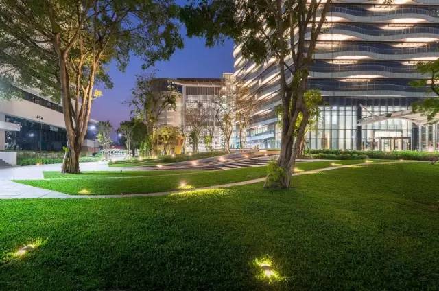 好的景观草坪,天然草坪推荐