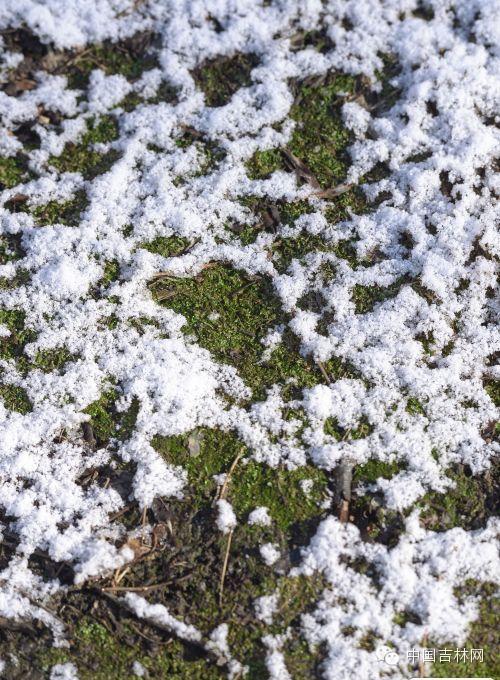 吉林暑假旅游自驾攻略,国庆吉林自驾游必去的十个景点