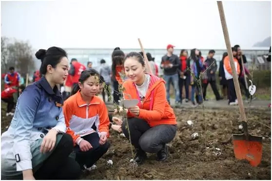 川航空姐李晓宏：与梦齐飞专业铸就美丽