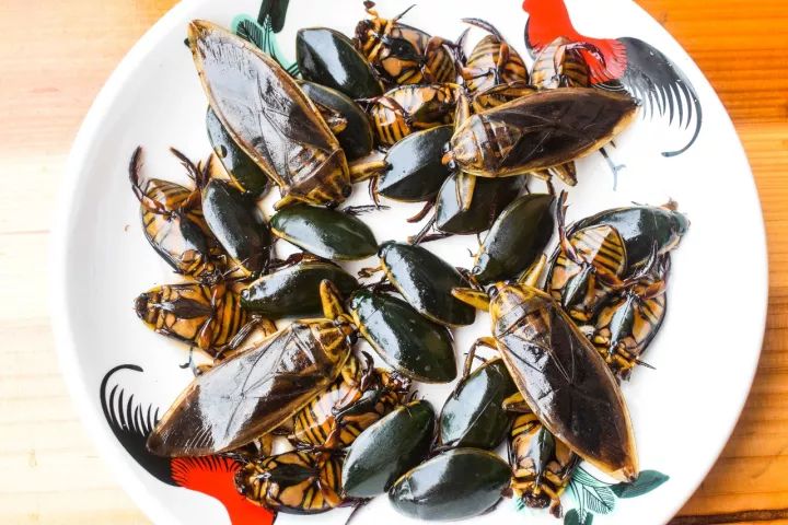 番禺区钟村南站,番禺钟村站