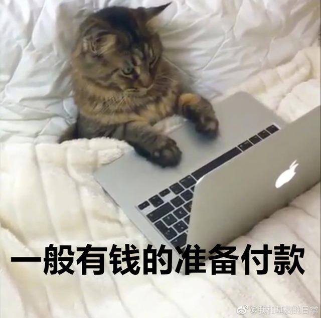 老婆疯狂网购老公忍无可忍发火,140万刷爆17张卡完整版