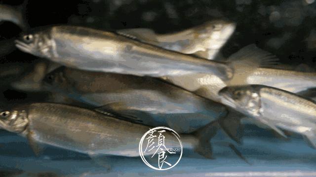 舒海滙——源*大海于**的恩赐源于对品味的追求