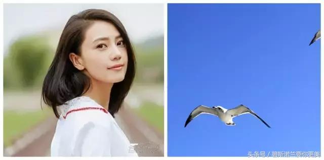 别再画一字眉了！秋波眉、海鸥眉都很美！