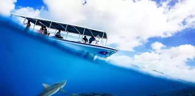 帕劳旅游攻略详解,帕劳旅游攻略六天