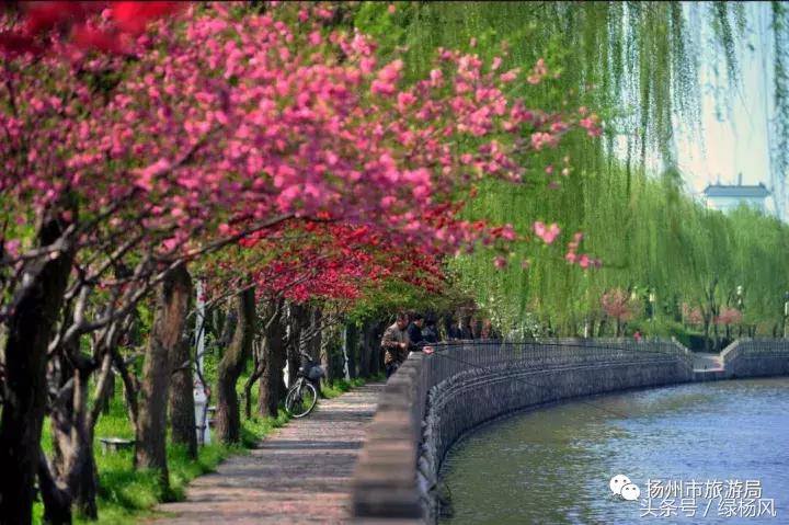 喜大普奔！扬州上榜“中国十大品质休闲城市”