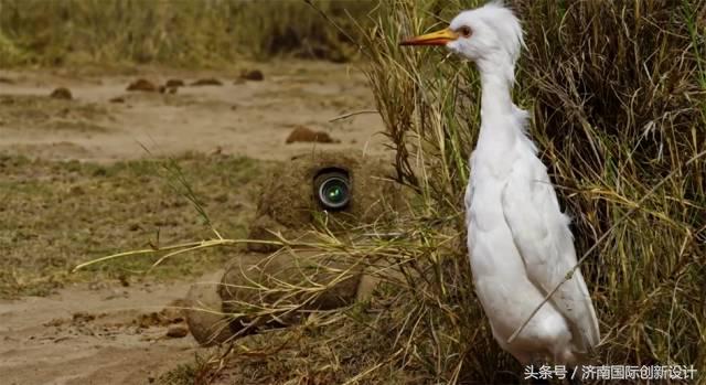 这34个间谍，每天只干一件事：*窥偷**！还拍成电影全球上映？