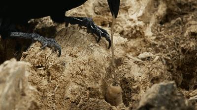 这34个间谍，每天只干一件事：*窥偷**！还拍成电影全球上映？