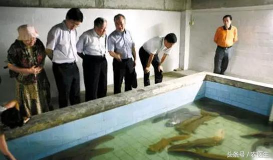 特种养殖致富的视频,特种养殖套路有哪些呢