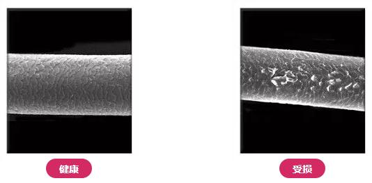 如何拥有一头油亮柔顺的秀发,怎么拥有柔顺的秀发