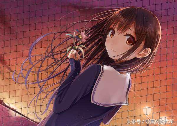 2016年网络流行语汇总,22年网络流行语汇总