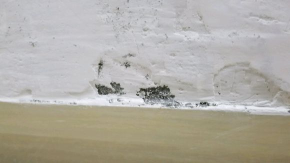 新装修的房子特别干燥怎么解决,潮湿发霉的房子应该怎么处理