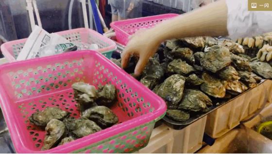 三亚送的14个免费海上游玩项目,三亚必买10件礼物