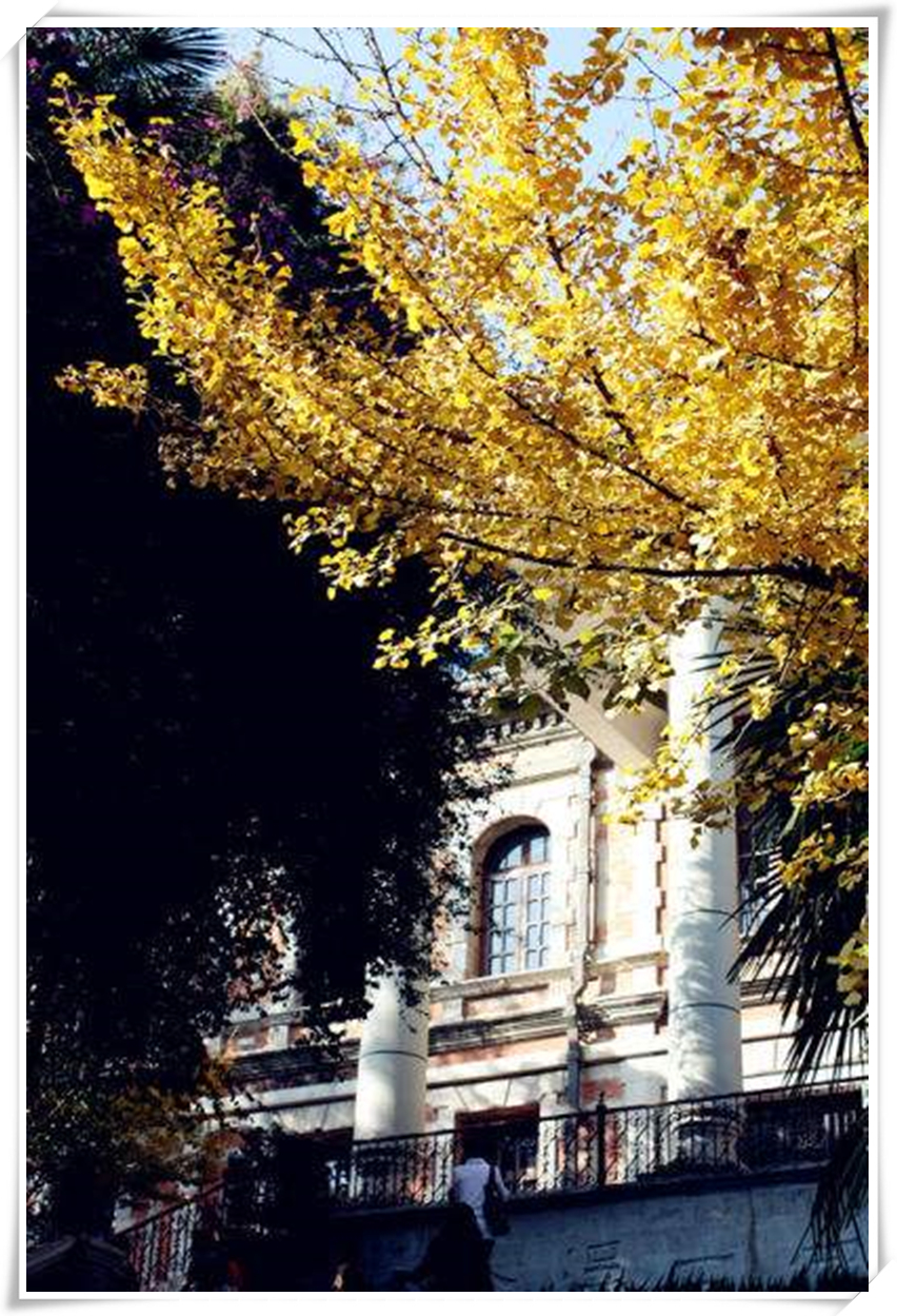 科普天空为什么是蓝色,关于天空的科普短视频