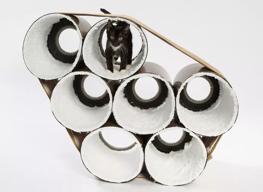 大爱!为这些百变多样的猫屋打call