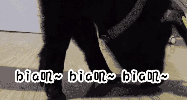 网易考拉跨境电商模式,网易考拉电商业务