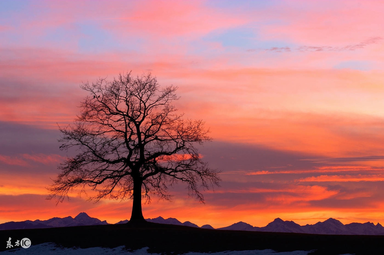 生肖蛇和蛇婚配吗,生肖蛇和羊婚配如何