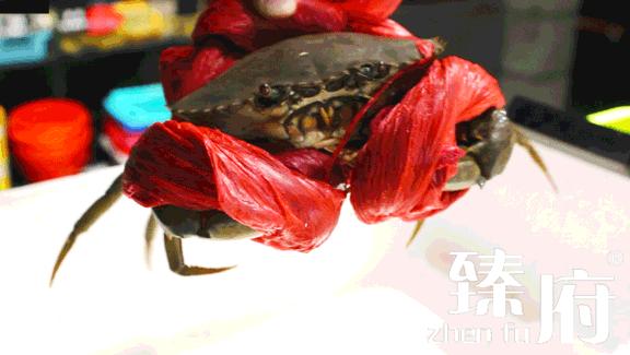 科普厦门海鲜市场,厦门哪里海鲜批发市场海鲜便宜