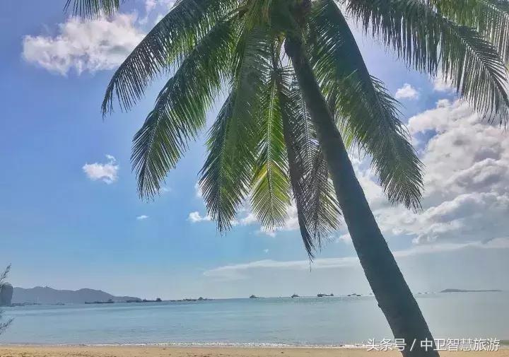 再过9天，中卫人就能休假133天！然而除夕前一天竟然是……