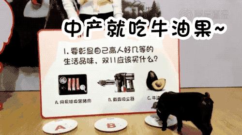 网易考拉跨境电商模式,网易考拉电商业务